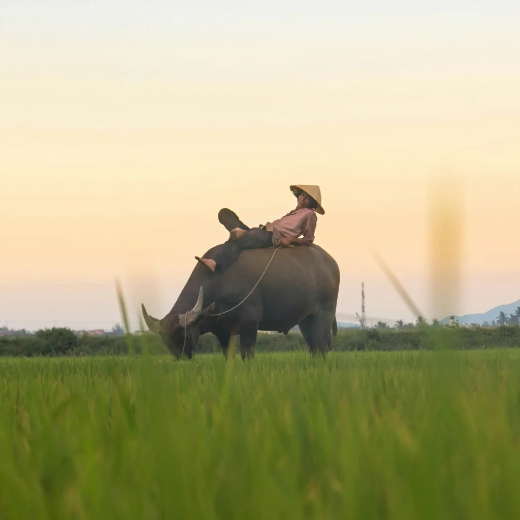 viaje de aventura y naturaleza en vietnam